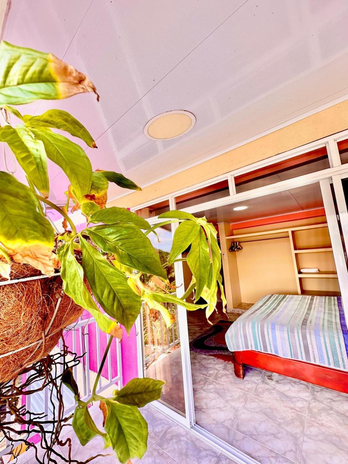 Posada Seven Colours Ocean Providencia  Luaran gambar